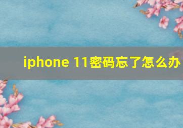 iphone 11密码忘了怎么办